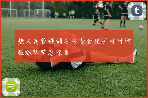 热火高管强调字母哥价值并呼吁增强球队阵容深度
