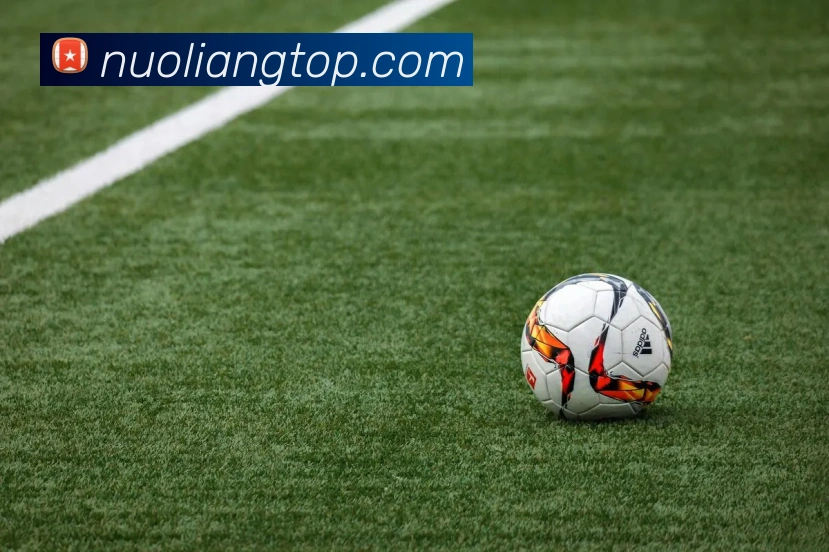 J9集团服务体系