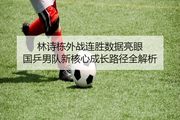 林诗栋外战连胜数据亮眼 国乒男队新核心成长路径全解析